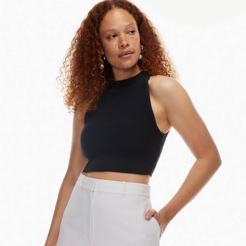 Babaton Cropped Halter Top in Brown